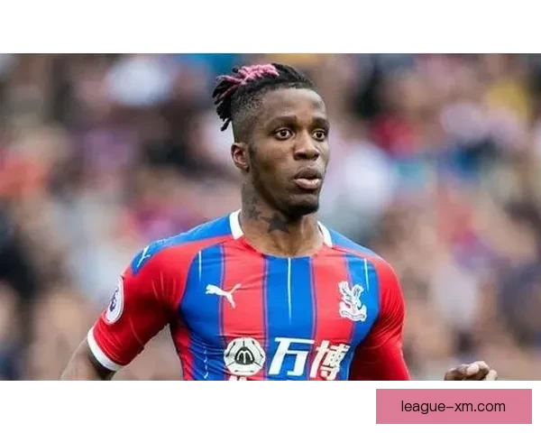 熊猫体育用户真实体验评价汇总与服务质量深度解析