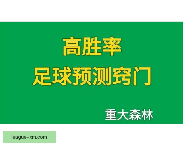 精准数据解析助力胜率提升的足球赛事竞猜策略揭秘